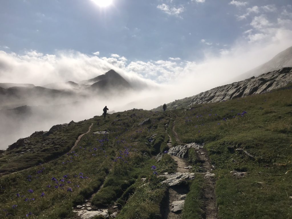 Camino al Petrechema (2371m)